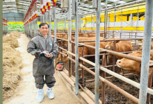 HSA 2024 Special Travel Award winner announced feature image