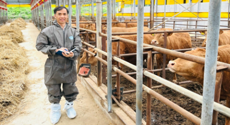 HSA 2024 Special Travel Award winner announced feature image