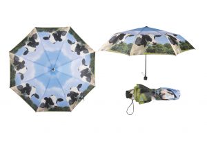 Foldable Umbrella