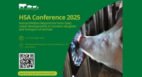 Save the date! HSA Conference 2025 feature image