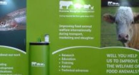 Come and meet us! feature image