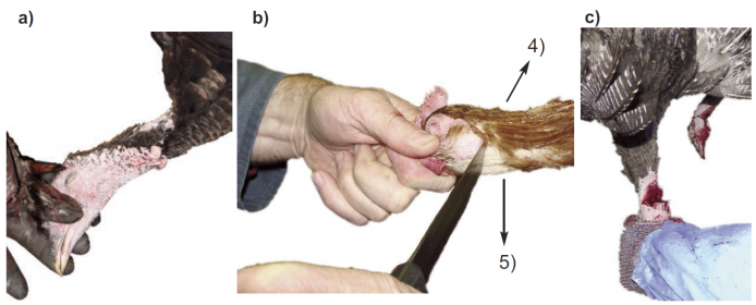 PoultryPerformManualNeckCut