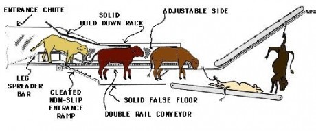 restrainer conveyor belly